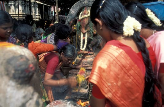 Hindu Pilgrim at a ceremony in the Meenakshi Amman Temple in the city of Madurai in the Province Tamil Nadu in India.  India, Madurai, April, 1998