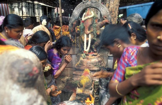 Hindu Pilgrim at a ceremony in the Meenakshi Amman Temple in the city of Madurai in the Province Tamil Nadu in India.  India, Madurai, April, 1998