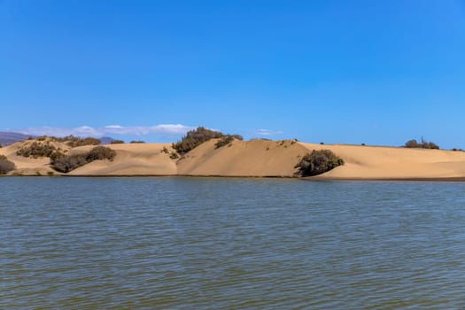 Maspalomas sand dunes, Gran Canaria, Canary islands, Spain