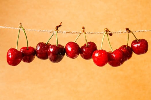 Pairs of ripe juicy cherries strung on twine string.