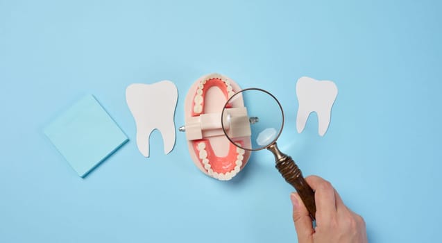 Plastic human jaw with white teeth and female hand with a magnifying glass, oral cavity prevention, top view