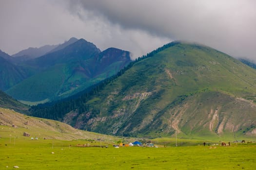 livestock Kyrgyz yurt camp under green mountains before summer rain.