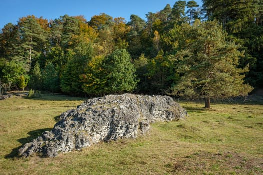 Huge rock on meadow and forest landscape