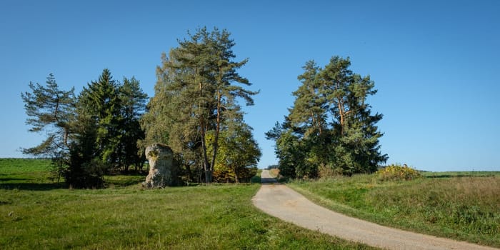 Road between meadow trees and rocks landscape