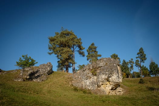 Rocks on green meadow with conifer trees with blue sky