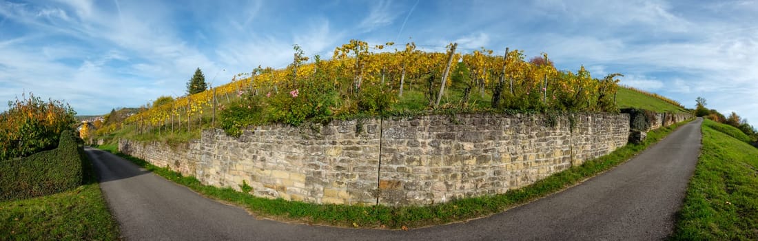 Stone wall of a vineyard in yellow autumn colours landscape