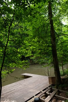 Wooden jetty pier at a pond with trees landscape