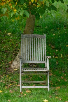 Weathered wooden grunge arm chair in a garden