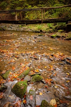 Mossy rocks in the river wieslauf with wooden bridge landscape
