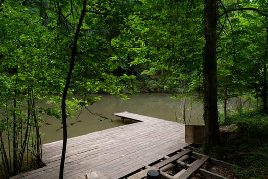 Wooden jetty at a pond with forrest trees landscape