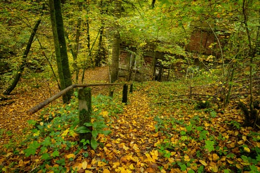 Lost place hydroelectric power station in forest autumn scenery