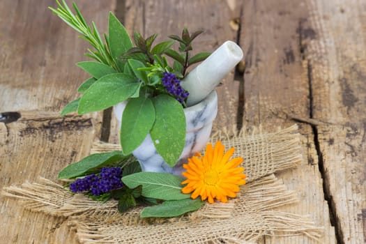 fresh herbs in the stone mortar on wooden background
