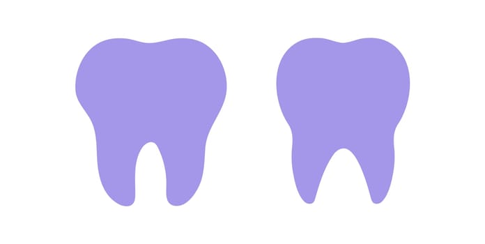 Tooth icon. Dental Silhouette. Vector educational illustration isolated