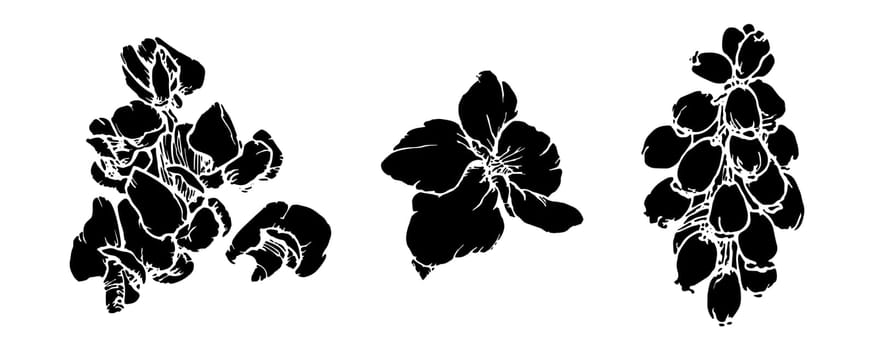 Spring flowers silhouettes on white
