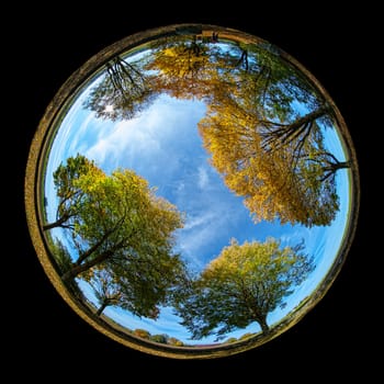 Trees in autumn colors in roud fish-eye distortion plant landscape