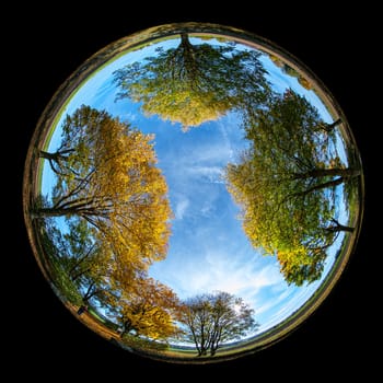 Trees in autumn coloring plant landscape with fish-eye distortion