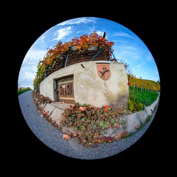 Road and hut with vines between vineyards with fish-eye distortion architecture