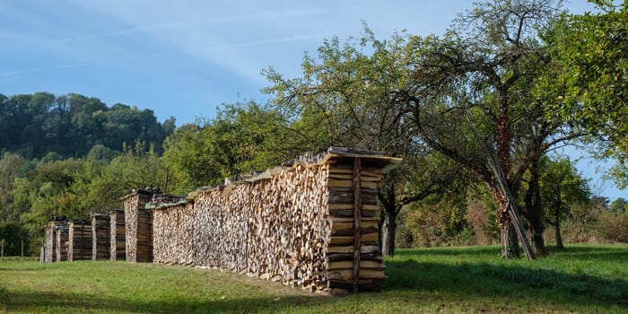 Stack of wood on a green meadow with trees