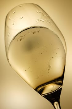 Glass of sparkling champagner drink in back lit