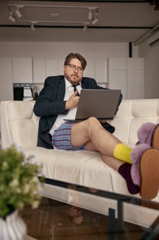 Businessman working online using laptop computer sitting on comfortable sofa in home living room. Male employee rejoicing success. Job on internet for self-employed executive manager