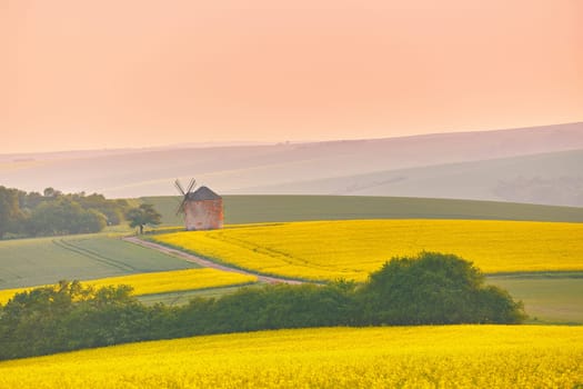 Old windmill in blooming Spring landscape with rolling hills. Yellow colza canola fields in sunset light. Warm May weather. Kunkovice, Moravia, Czech Republic