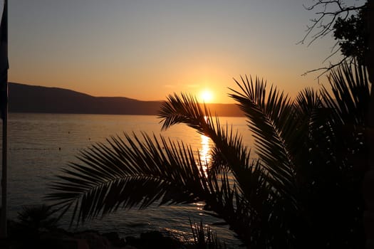 Evening atmosphere with palm trees and sunset on the beach of Glavotok on the island of Krk  Theme picture Croatia / Hrvatska / Croatia 2024