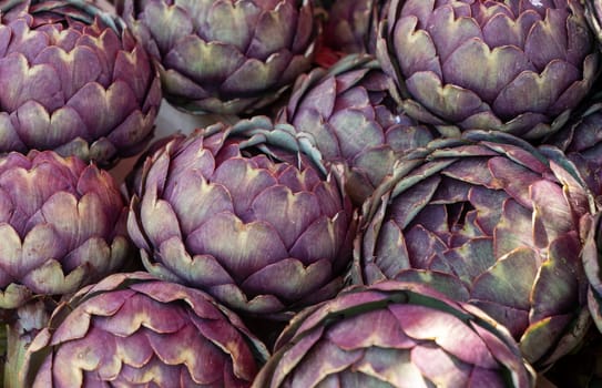 background of purple artichokes