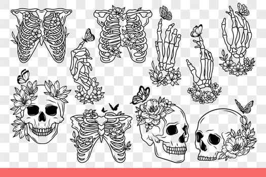 Human skeleton and bones with skulls are decorated with flowers and disassembled into body parts. Dead man skeleton for studying anatomy or designing halloween cards. Hand drawn doodle