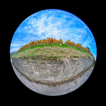 Vineyard in autumn colors with stone wall scene in fish-eye distortion