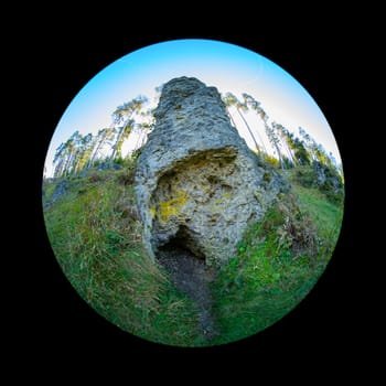 Single rock and trees in german wental with fish-eye distortion