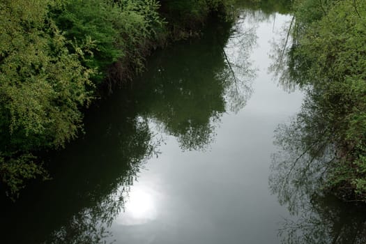 River with sun reflection and green trees landscape