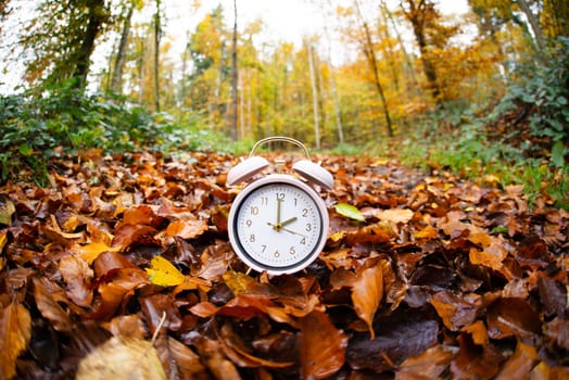 Alarm clock with autumn foliage, end of daylight saving time in fall, winter time changeover