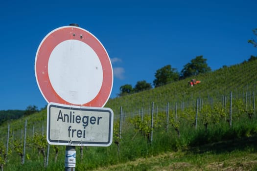 German sing adjacent owner permitted in front of a vineyard landscape