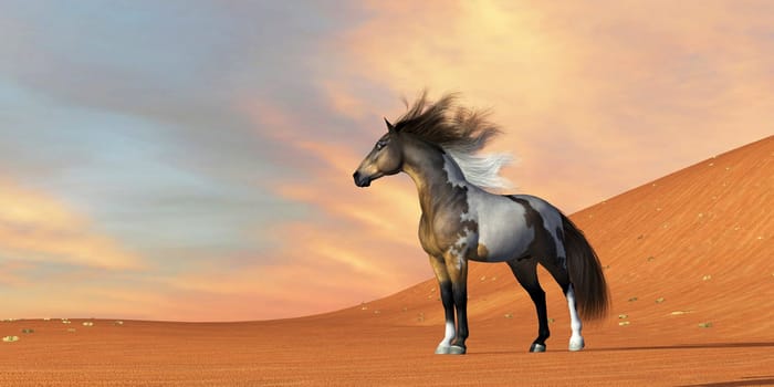 The Mustang is a wild free-roaming horse of the Western United States and can be various coat colors.