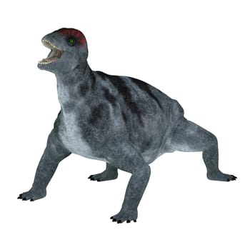 Criocephalosaurus was a therapsid animal that lived during the Permian Period of South Africa.