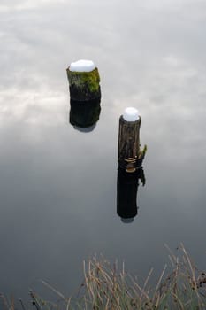 Two tree trunks in the water of a lake, covered with snow and with reflections in the water and with mushrooms on the trunk