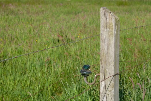 wooden fence post, wooden fence, electric fence, willow fence, barbed wire, Germany