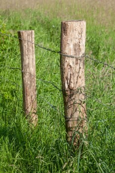 Wooden fence posts, wooden fence, willow fence, willow, meadow, Germany