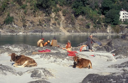 a Holy men and Street Sadhus at the Holy Ganges River in the city of Rishikesh in the Province Uttarakhand in India.  India, Rishikesh, February, 1998
