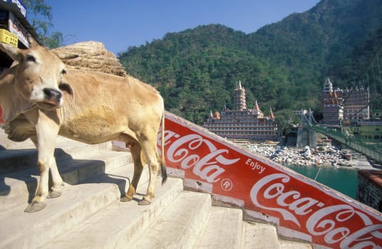 a Hindu Hermitage or Monastery of Ashram at the Holy Ganges River in the city of Rishikesh in the Province Uttarakhand in India.  India, Rishikesh, February, 1998