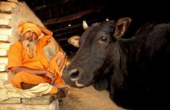 a Holy men and Street Sadhus at the Holy Ganges River in the city of Rishikesh in the Province Uttarakhand in India.  India, Rishikesh, February, 1998