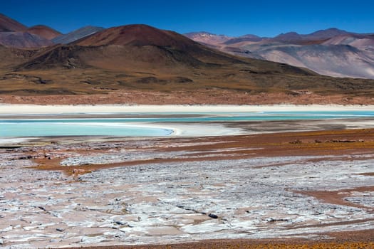 Alues Calientes Lagoon high on the altiplano in the Atacama Desert in northern Chile, South America. The white areas in the foreground are deposits of salt.