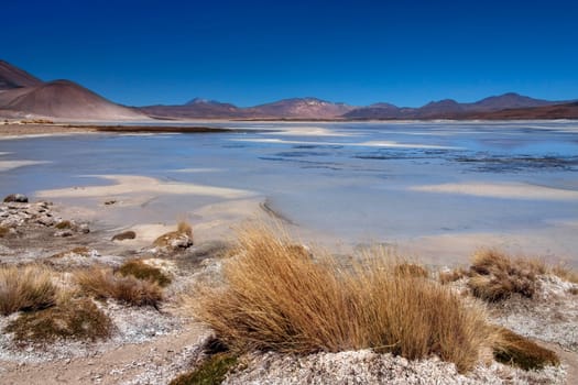 Alues Calientes Lagoon high on the altiplano in the Atacama Desert in northern Chile, South America. The white areas in the foreground are deposits of salt.