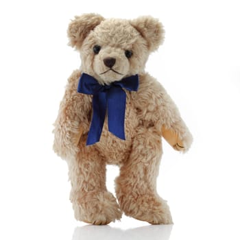 A Teddy Bear with a blue bow
