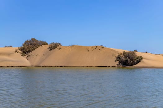 Maspalomas sand dunes, Gran Canaria, Canary islands, Spain