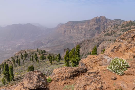 Mountains on the island of Gran Canaria, Spain