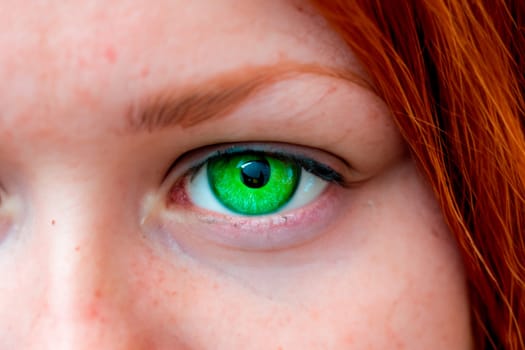 Extreme cropped portrait of green-eyed red-haired teenage girl.