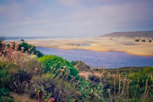 Landscape view on Bordeira beach near Carrapateira on the costa Vicentina in the Algarve in Portugal.
