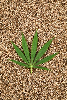 Flat lay composition, cbd, Cannabis leaves with marijuana
