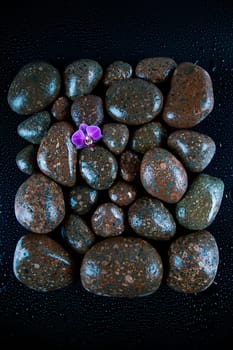 Stones in a purple and pink orchid flower